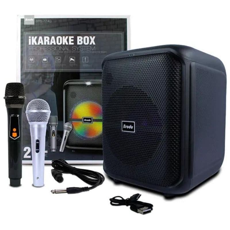 Party / Karaoke Speakers